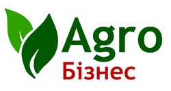 Свідоцтво торговельну марку № 294021 (заявка m201906042): agro; бізнес
