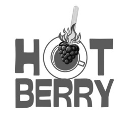 Заявка на торговельну марку № m202422060: hot berry