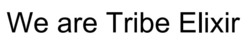 Заявка на торговельну марку № m202607006: we are tribe elixir