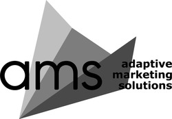 Свідоцтво торговельну марку № 337048 (заявка m202114924): adaptive marketing solutions; ams