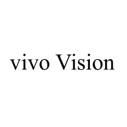 Заявка на торговельну марку № m202514963: vivo vision