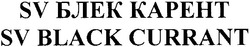 Свідоцтво торговельну марку № 81318 (заявка m200604410): sv блек карент; kapeht; sv black currant