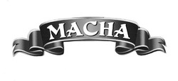 Свідоцтво торговельну марку № 311911 (заявка m202004482): масна; macha