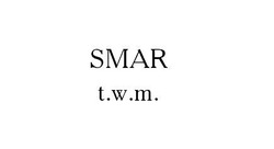 Свідоцтво торговельну марку № 183869 (заявка m201320851): smar t.w.m.; twm