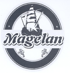 Свідоцтво торговельну марку № 97995 (заявка m200712351): magelan