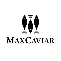 Заявка на торговельну марку № m202319439: maxcaviar