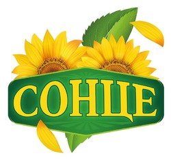 Заявка на торговельну марку № m202606044