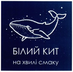 Свідоцтво торговельну марку № 294166 (заявка m201910137): білий кит на хвилі смаку