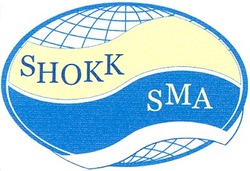 Свідоцтво торговельну марку № 55484 (заявка 20040707142): shokk; sma