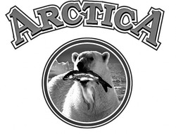 Свідоцтво торговельну марку № 289598 (заявка m201902904): arctica
