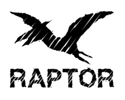 Заявка на торговельну марку № m202402639: raptor