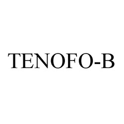 Свідоцтво торговельну марку № 303752 (заявка m201921671): tenofo-b; в