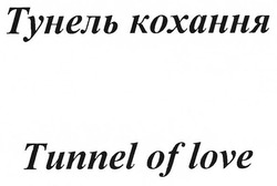 Свідоцтво торговельну марку № 273149 (заявка m201804580): тунель кохання; tunnel of love