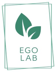 Заявка на торговельну марку № m202212838: ego lab
