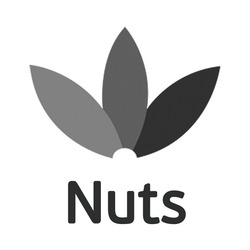Свідоцтво торговельну марку № 346997 (заявка m202208474): nuts