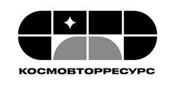 Заявка на торговельну марку № m202509491: космовторресурс