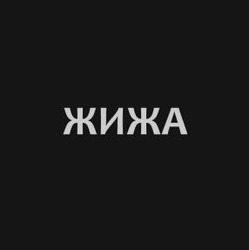 Заявка на торговельну марку № m202501986: жижа