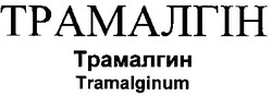 Свідоцтво торговельну марку № 12581 (заявка 98072961): трамалгін трамалгин tramalginum
