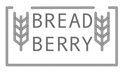 Заявка на торговельну марку № m202024213: bread berry