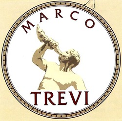 Свідоцтво торговельну марку № 26008 (заявка 99114336): marco trevi