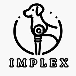 Заявка на торговельну марку № m202402697: implex