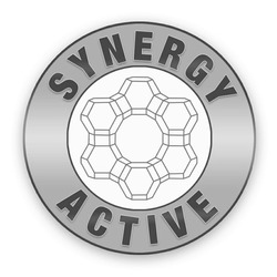 Заявка на торговельну марку № m202102137: synergy active