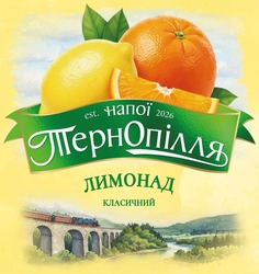 Заявка на торговельну марку № m202606234