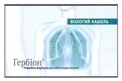 Заявка на торговельну марку № m201118912: подвійна формула для обох видів кашлю!; гербіон; вологий кашель