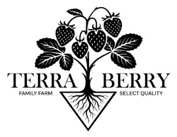 Заявка на торговельну марку № m202609948: terra berry family farm select quality