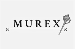 Свідоцтво торговельну марку № 342572 (заявка m202203043): murex