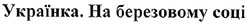 Заявка на торговельну марку № m200804933: українка.на березовому соці