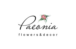 Свідоцтво торговельну марку № 257766 (заявка m201715539): palonia flowers&decor; paeonia