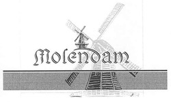 Свідоцтво торговельну марку № 87705 (заявка m200704471): molendam
