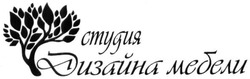 Свідоцтво торговельну марку № 249715 (заявка m201629157): студия дизайна мебели