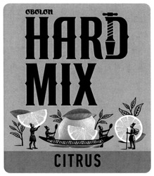 Заявка на торговельну марку № m202013877: obolon hard mix citrus; міх