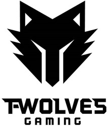 Свідоцтво торговельну марку № 289311 (заявка m201829276): fwolves gaming; twolves gaming; t-wolves gaming; t wolves gaming
