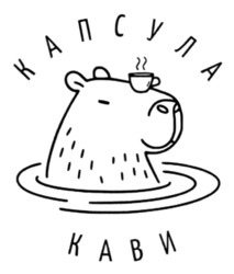 Заявка на торговельну марку № m202512867: капсула кави