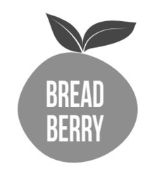 Свідоцтво торговельну марку № 324186 (заявка m202023210): bread berry