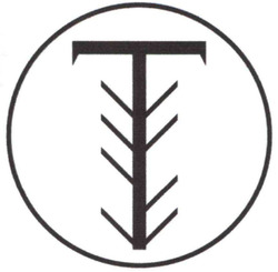 Заявка на торговельну марку № m202518348: т; t