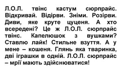 Заявка на торговельну марку № m202416985: л.о.л. сюрпрайс - мрії мають здійснюватися!; глянь яка тваринка, дві іграшки в одній; а у мене - кошеня; стильне взуття; ставлю лайк!; капелюшок з вушками?; це ж л.о.л. сюрпрайс твінс; а хто всередені?; диви, яке круте цуценя; розірви; зніми; відірви; відкривай; лол; л.о.л. твінс кастум сюрпрайс