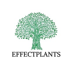 Заявка на торговельну марку № m202413582: effectplants