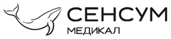 Заявка на торговельну марку № m202517702: сенсум медикал