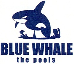 Свідоцтво торговельну марку № 95930 (заявка m200707363): blue whale; the pools