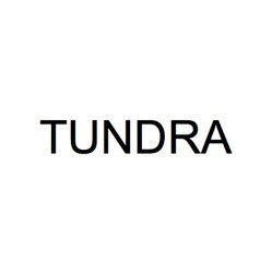 Свідоцтво торговельну марку № 315502 (заявка m201928929): tundra