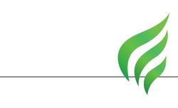 Заявка на торговельну марку № m202507149