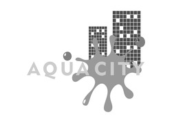Заявка на торговельну марку № m201924938: aqua city