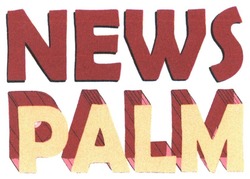 Свідоцтво торговельну марку № 334729 (заявка m202116784): news palm