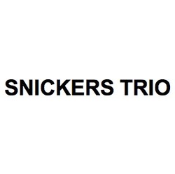 Свідоцтво торговельну марку № 301553 (заявка m201921567): snickers trio