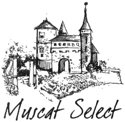 Свідоцтво торговельну марку № 213428 (заявка m201503505): muscat select