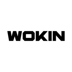 Заявка на торговельну марку № m202412864: wokin